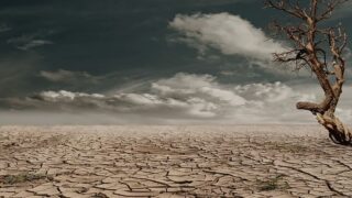 เอลนีโญ (El Niño) สร้างสถิติปีแห่งความแห้งแล้ง